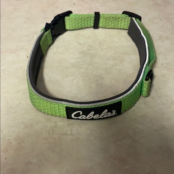 cabelas dog harness